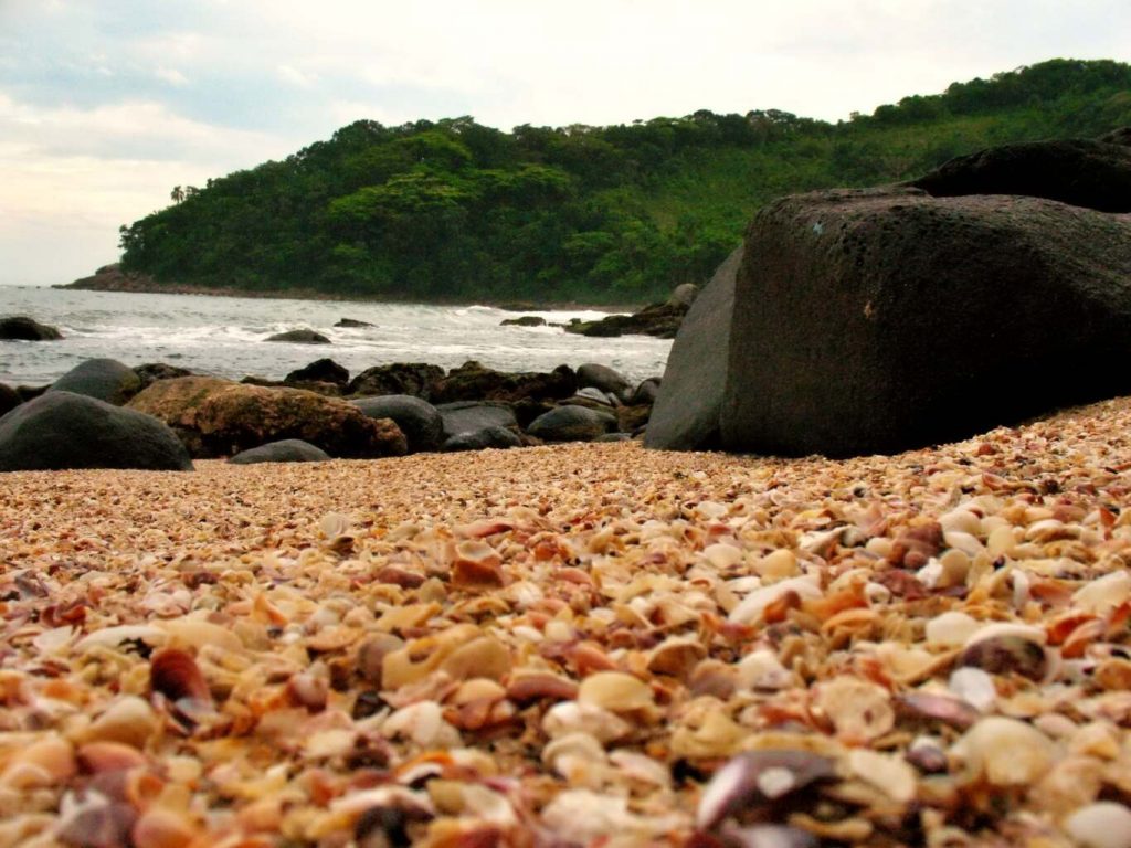 Praia das Conchas Guarujá