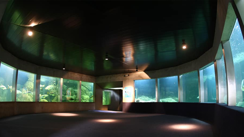 aquario1