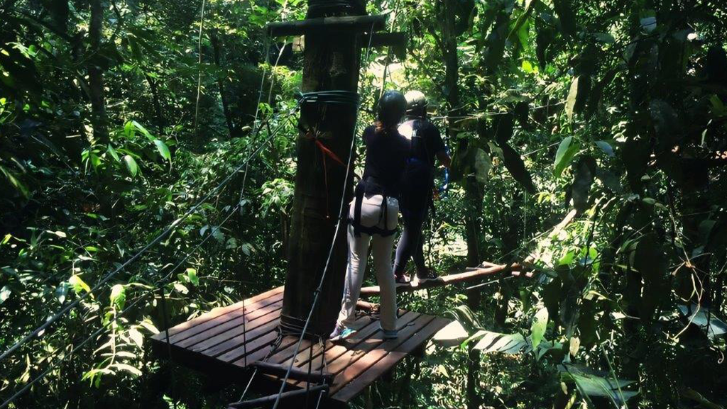 Trilha Ecológica do Conde