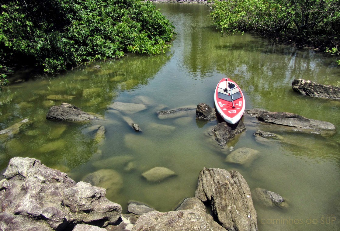 Guarujá Sustentável Uma Jornada Eco-Consciente pela Hospitalidade e Meio Ambiente