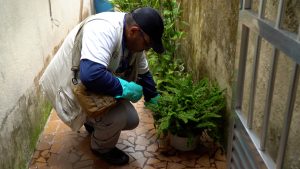 Guarujá reduz casos de dengue em 87%